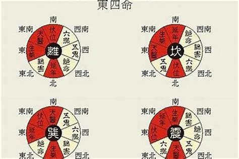 四宅|什么是东四宅和西四宅？